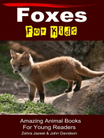 Foxes For Kids