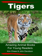 Tigers For Kids