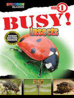 BUSY! Insects: Level 1