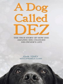 A Dog Called Dez: The True Story of How One Amazing Dog Changed His Owner's Life
