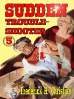 Sudden 5: Sudden - Troubleshooter