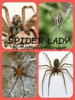 Spider Lady