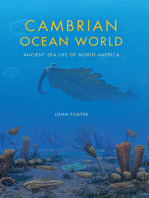 Cambrian Ocean World: Ancient Sea Life of North America