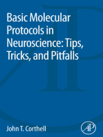 Basic Molecular Protocols in Neuroscience