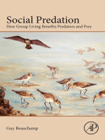 Social Predation