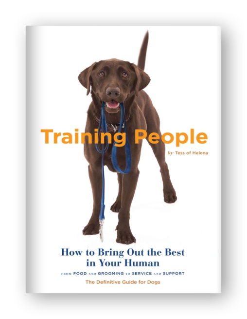 Training Peop...