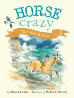 The Sea Rescue: Horse Crazy Book 3