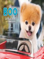 Boo: Little Dog in the Big City