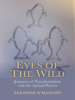 Eyes of the Wild: Journeys of Transformation with the Animal Powers