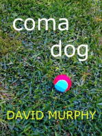 Coma Dog