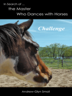 In Search of the Master Who Dances with Horses: Challenge