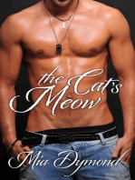 The Cat's Meow (SEALS, Inc. Book 5)