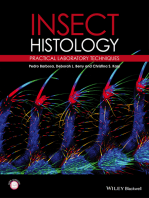 Insect Histology