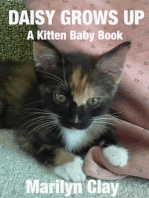 Daisy Grows Up: A Kitten Baby Book