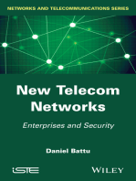 New Telecom Networks: Enterprises and Security