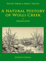 Notes from a Small Valley A Natural History of Wolli Creek I Prehistory