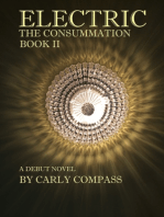 Electric, The Consummation, Book II