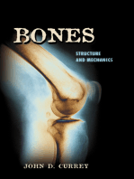 Bones: Structure and Mechanics
