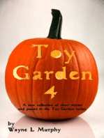 Toy Garden 4