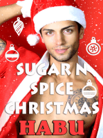 Sugar N Spice Christmas