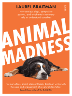 Animal Madness