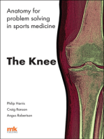 Anatomy for problem solving in sports medicine: The Knee