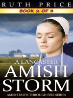 A Lancaster Amish Storm - Book 2