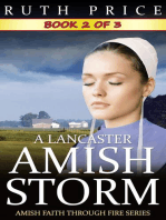 A Lancaster Amish Storm - Book 2: A Lancaster Amish Storm (Amish Faith Through Fire), #2