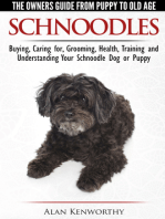 Schnoodles: The Owners Guide from Puppy to Old Age - Choosing, Caring for, Grooming, Health, Training and Understanding Your Schnoodle Dog