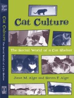 Cat Culture: The Social World Of A Cat Shelter