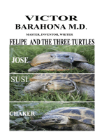 Felipe and the Three Turtles