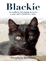 Blackie: an Inspirational Love Story about a Writer and his Battle to Save his Pet Cat