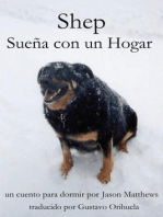 Shep Sueña Con Un Hogar