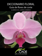 Diccionario Floral: Guía de flores de corte.