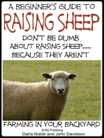 A Beginner’s Guide to Raising Sheep: Don’t Be Dumb About Raising Sheep...Because They Aren’t