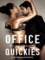 Office Quickies. Erotikgeschichten