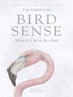 Bird Sense: What It's Like to Be a Bird