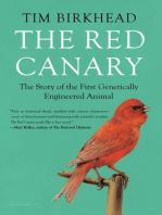 The Red Canary: The Story of the First Genetically Engineered Animal