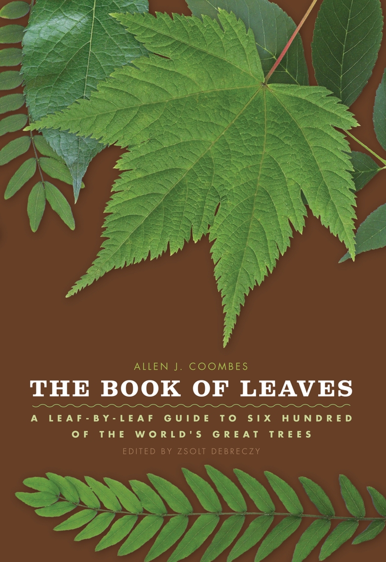 Read The Book of Leaves Online by Allen J. Coombes Books