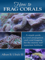 How to Frag Corals: A Simple Guide to Coral Propagation and Coral Fragging for the Marine Reef Aquarium