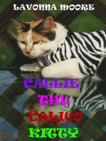 Callie The Calico Kitty