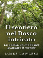 Il Sentiero Nel Bosco Intricato