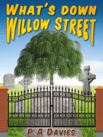 What's Down Willow Street