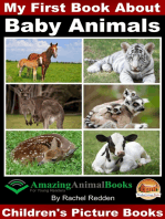 My First Book about Baby Animals