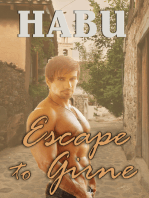 Escape to Girne (Gay Erotic Espionage Thriller)