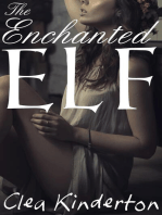 The Enchanted Elf