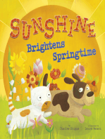 Sunshine Brightens Springtime