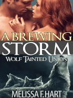 A Brewing Storm