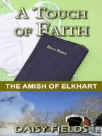 A Touch of Faith: The Amish of Elkhart County, #2