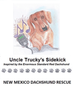 Uncle Trucky's Sidekick